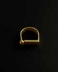 The Geometric Ball & Bar Ring
