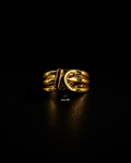 Interlocked Knot Multi-Band Ring